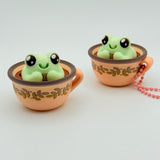 Magical Frogs & Fairytale Cottage Clickers | Fidget Clickers